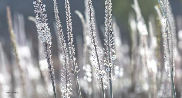לנשום... – מיכאל שמידט | תמונה לסלון בסגנון מודרני