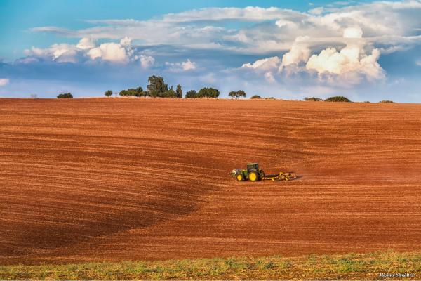 ארץ זבת חלב ודבש... – מיכאל שמידט | תמונה לסלון בסגנון כפרי