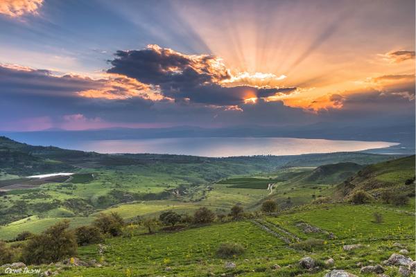 הכנרת מאירה... – מיכאל שמידט | תמונה לסלון בסגנון כפרי