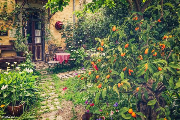 הזמנה לפיקניק.. – מיכאל שמידט | תמונה לסלון בסגנון כפרי