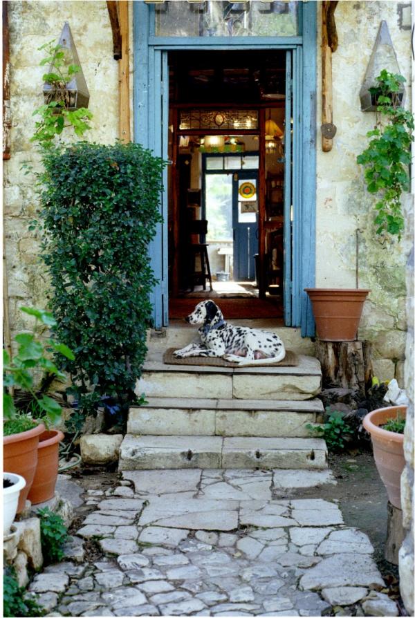 גלריה בראש פינה – מיכל פרטיג | תמונה לסלון בסגנון כפרי