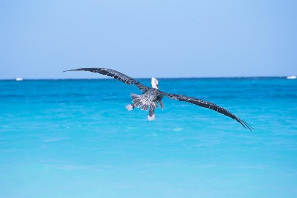 שקנאי – ניר אלון | תמונה לסלון בסגנון מודרני
