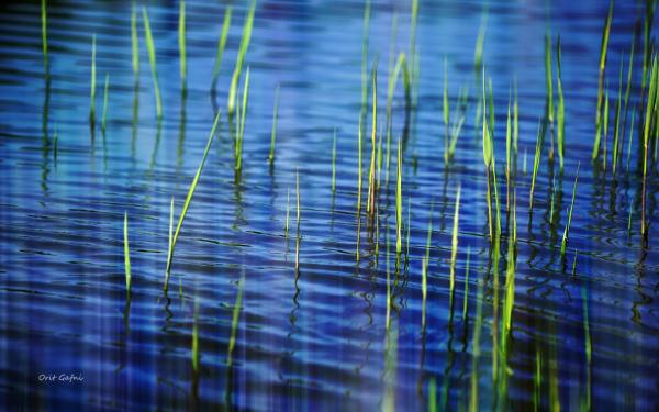 תנודות – אורית גפני | תמונה לסלון בסגנון מודרני