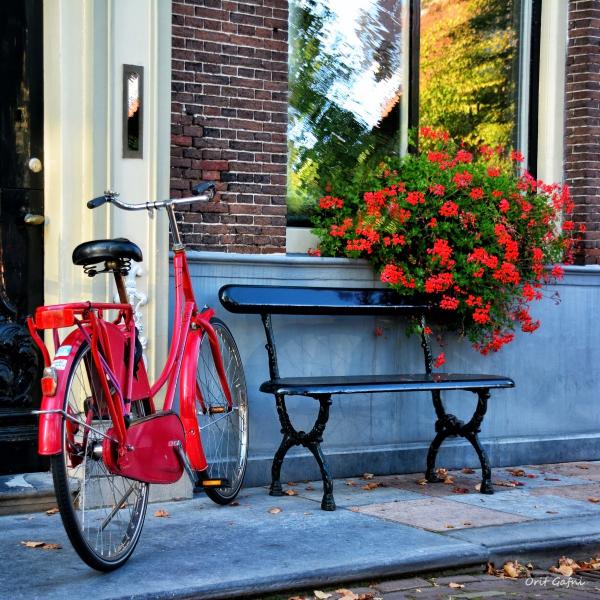 פינה שלווה – אורית גפני | תמונה לסלון בסגנון כפרי