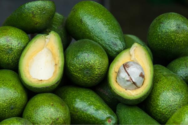 אבוקדו – רן זיסוביץ | תמונה לסלון בסגנון מודרני