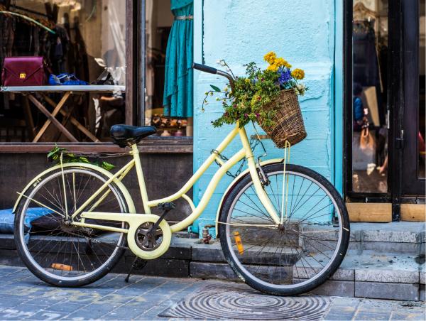 אופניים פרחוניות – רן זיסוביץ | תמונה לסלון בסגנון כפרי