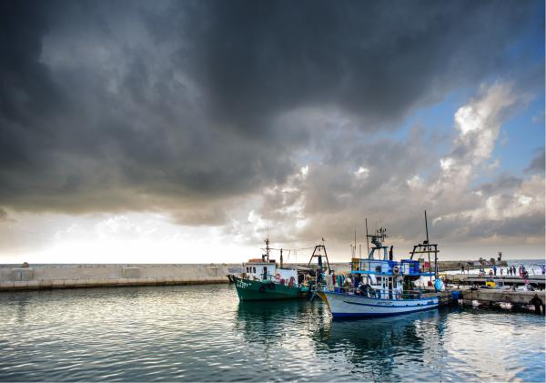 הסערה באה – רן זיסוביץ | תמונה לסלון בסגנון מודרני