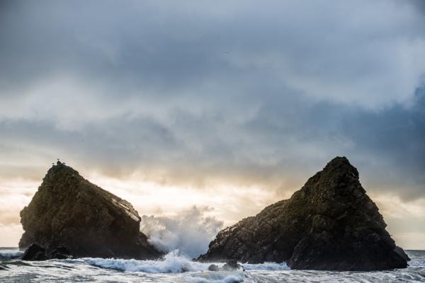 רגע סוער – רן זיסוביץ | תמונה לסלון בסגנון מודרני