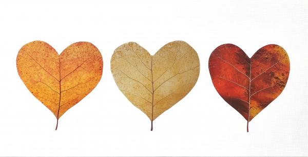 לבבות בשלכת – יניב גרינברג | תמונה לסלון בסגנון מודרני