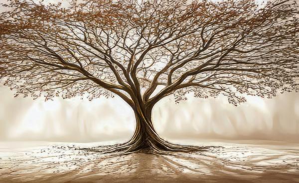 חיבוק הטבע – יניב גרינברג | תמונה לסלון בסגנון כפרי