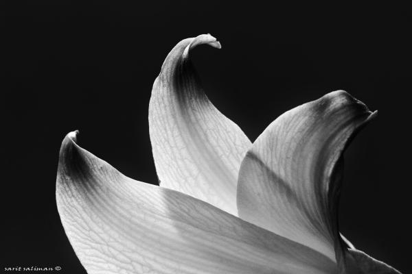 טקסטורה – שרית סלימן | תמונה לסלון בסגנון מודרני