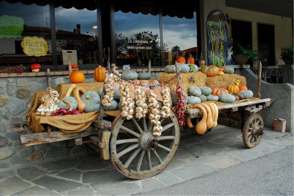 עגלה – שוש אבן | תמונה לסלון בסגנון כפרי