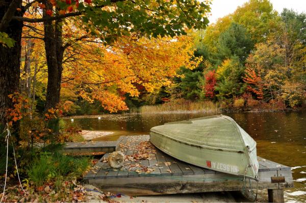 זהב – שוש אבן | תמונה לסלון בסגנון כפרי