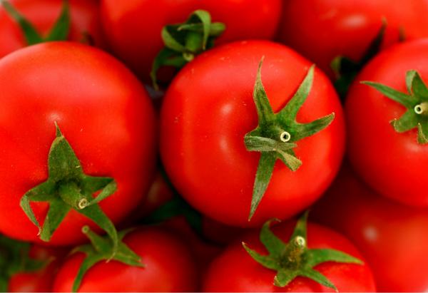 עגבניות – טניה קלימנקו | תמונה לסלון בסגנון מודרני