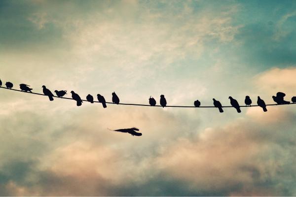 מחכים לשקיעה – ויויאן נתן | תמונה לסלון בסגנון מודרני