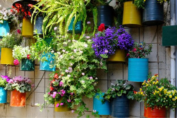 עציצים – ויויאן נתן | תמונה לסלון בסגנון כפרי