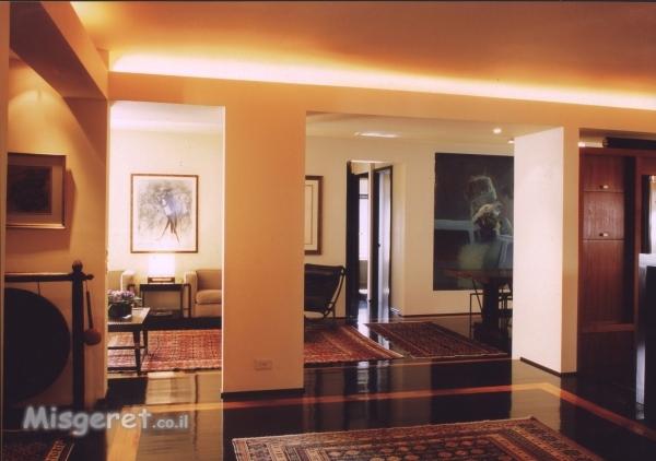 דופלקס רמת אביב ג