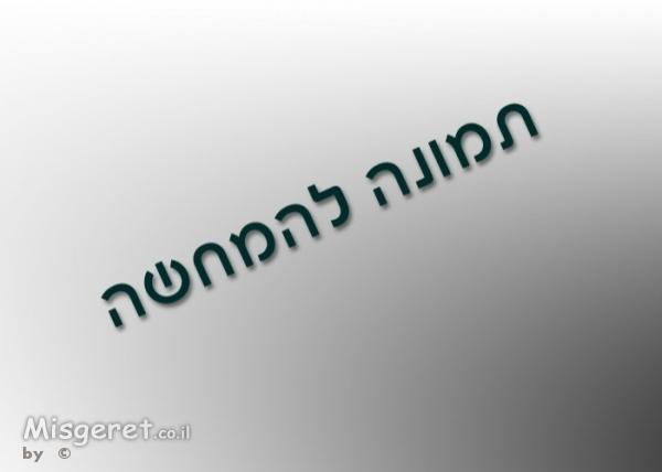 גלריה לדוגמא 2