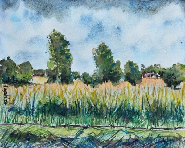 חופשה בארץ אחרת