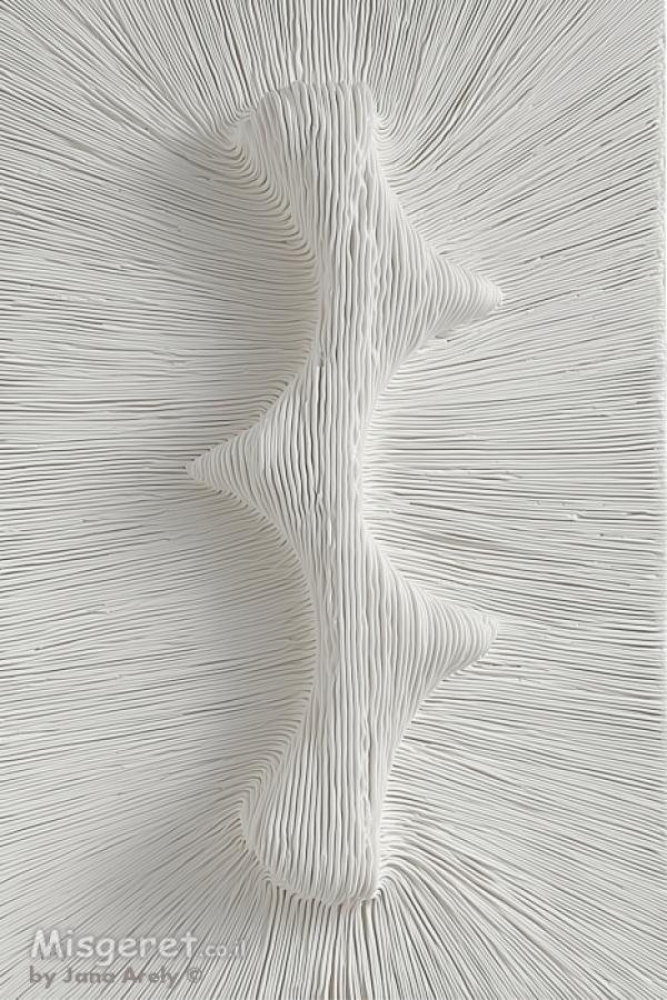 העוצמה הלבנה