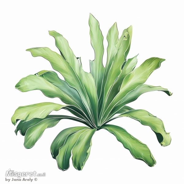 עלים ירוקי עד צבעי מים