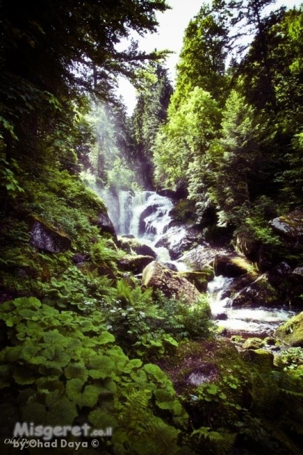 Germany