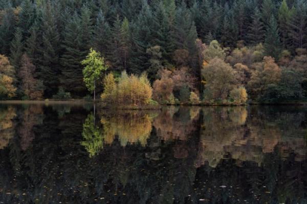 צילום מופשט
