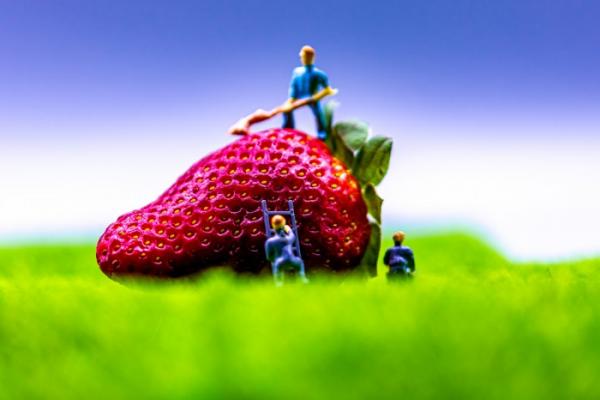 מיניאטורות