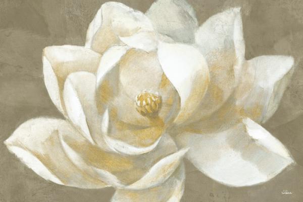 תמונות מודרניות של נשים