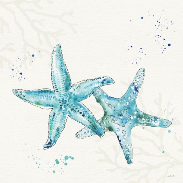 אוסף חוף ים וקיץ