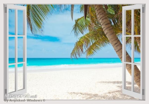 3D Window