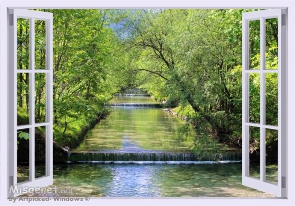 3D Window