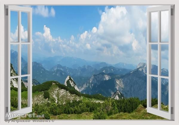 3D Window