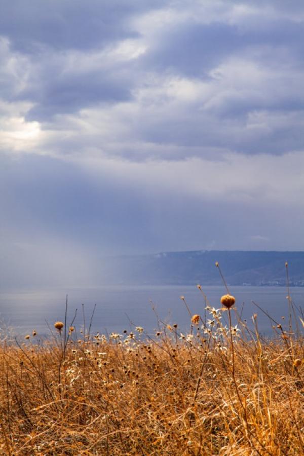 סביב הכנרת והירדן