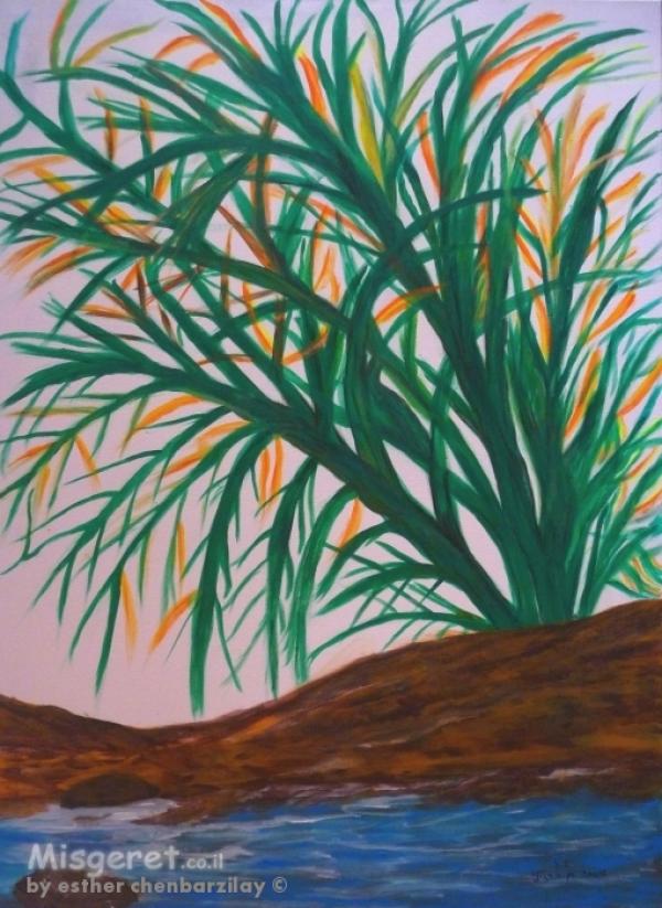 עצים שיחים ופרחים