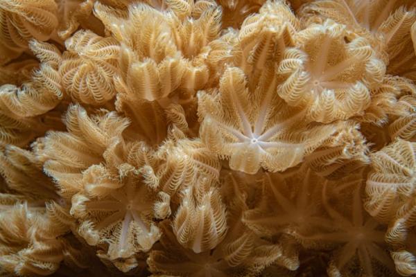 מתחת לפני המים