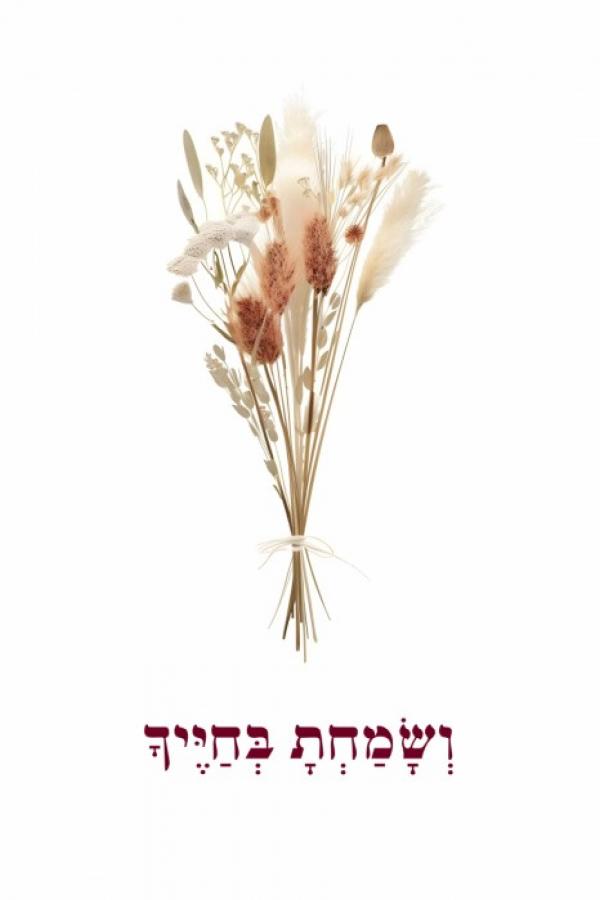 גלריה