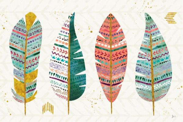 אוסף תמונות של נוצות