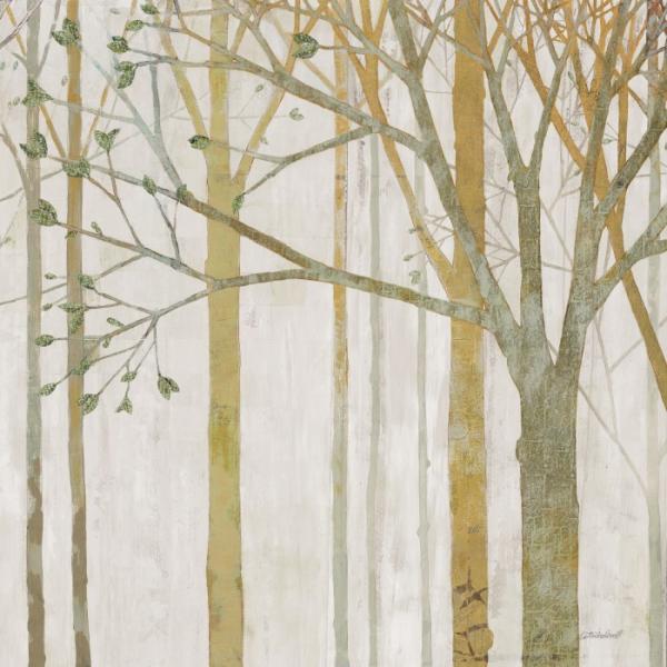 תמונות לחדרי ילדים