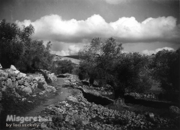 איזור רמאללה