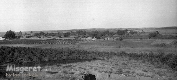 בית גירגה  - גבר עם