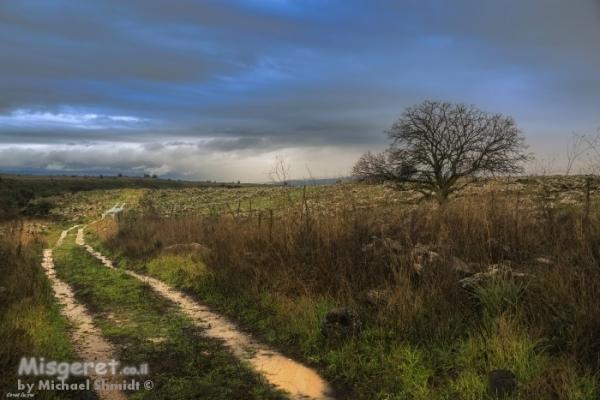 רמת הגולן הפסטורלית והגליל