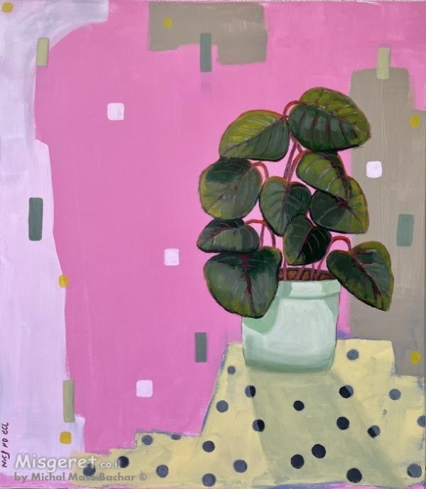 הום סטיילינג וציורי אוירה 