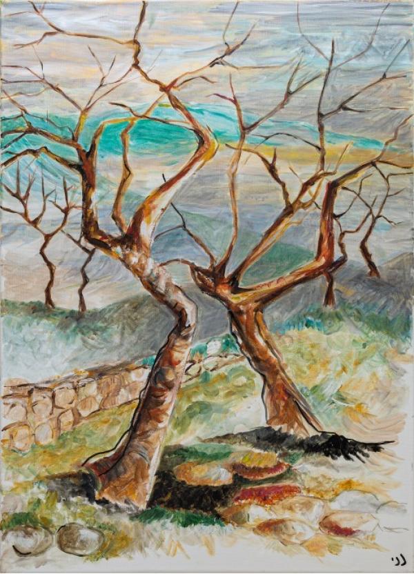אוסף ציורי נוף וטבע