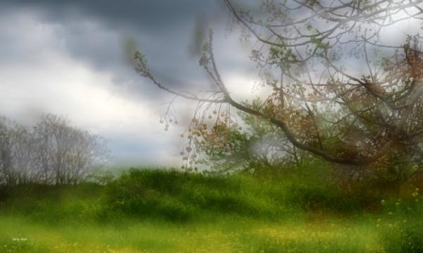 צילום בריבוי חשיפות