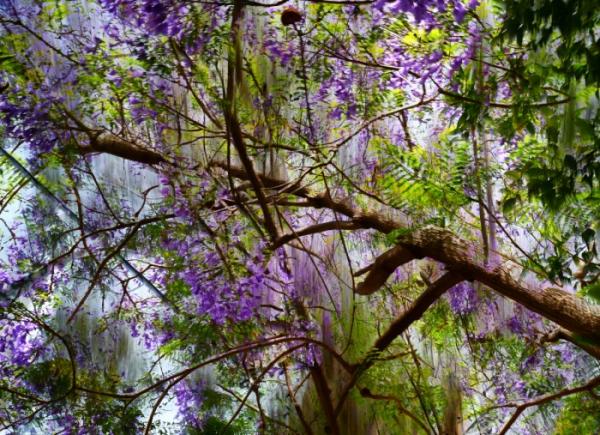 צילום בריבוי חשיפות