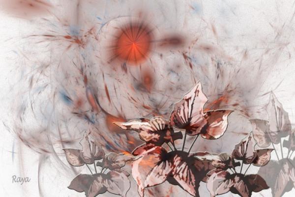 צמחים ופרחים