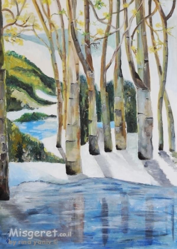 שמן ואקריליק