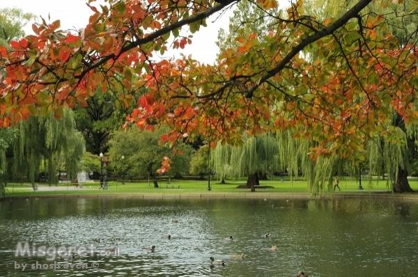 גלריה לדוגמא 1