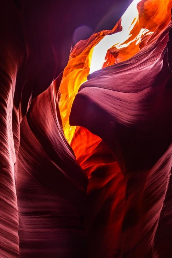 צפון אמריקה